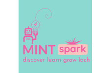Logo for MINTspark Logo for MINTspark